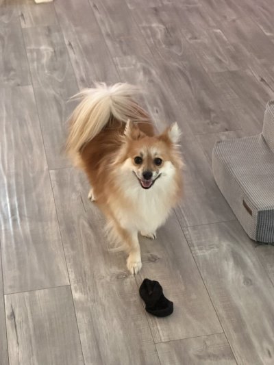 Watch Jenn's leaked NSFW photo on TwXstars