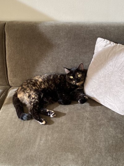 Watch big honkin caboose's leaked NSFW photo on TwXstars