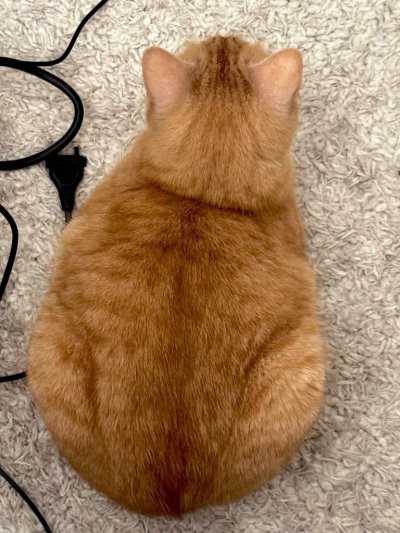 Watch nordlys's leaked NSFW photo on TwXstars