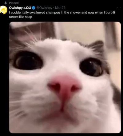 Watch nordlys's leaked NSFW photo on TwXstars