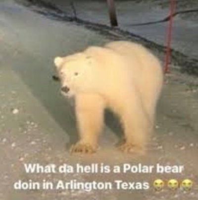 Watch 𝖍𝖞𝖕𝖊𝖗𝖎𝖔𝖓🐶's leaked NSFW photo on TwXstars