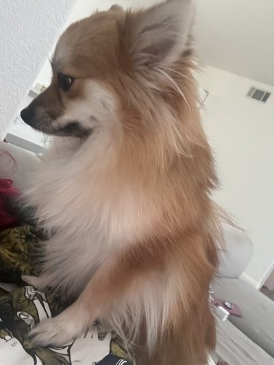 Watch Jenn's leaked NSFW photo on TwXstars