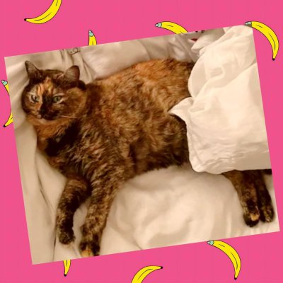 Watch Cherry Crush 🍒's leaked NSFW photo on TwXstars