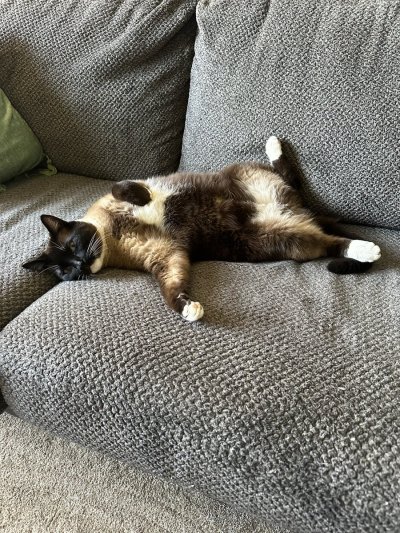 Watch Hannah Hedon's leaked NSFW photo on TwXstars