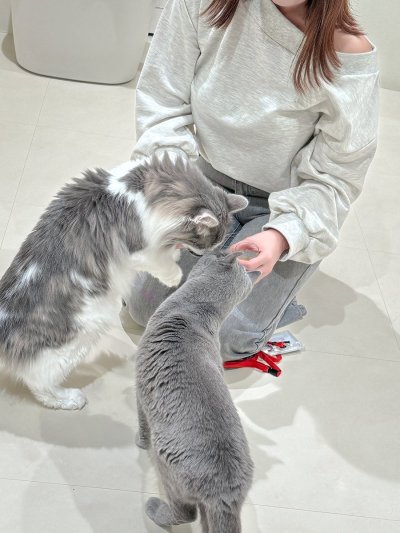 Watch 𓆟uri 𓆟's leaked NSFW photo on TwXstars