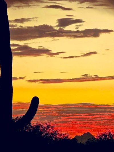 Watch #WhoreChata's leaked NSFW photo on TwXstars