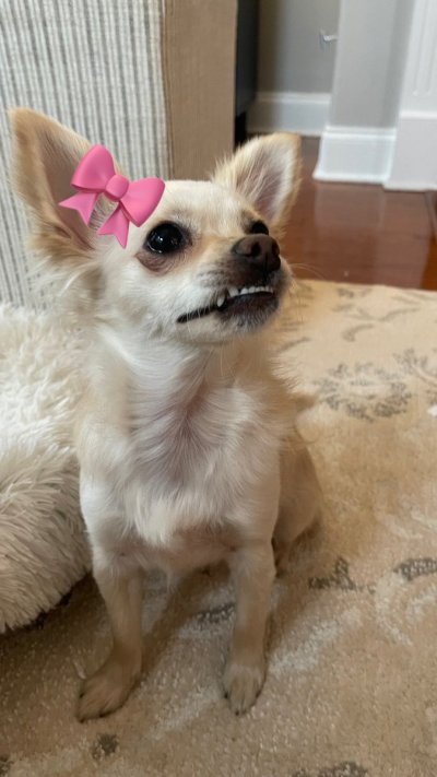 Watch ✩𝐁𝐚𝐢𝐥𝐞𝐲 𝐁𝐨𝐨𝐭𝐥𝐞𝐬✩'s leaked NSFW photo on TwXstars