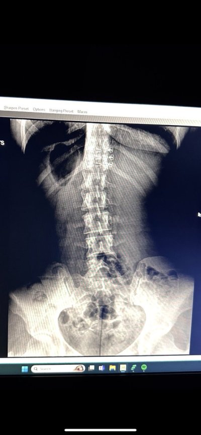 Watch Jenn's leaked NSFW photo on TwXstars