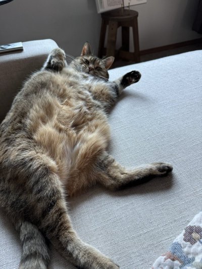 Watch Brittany Elizabeth Welsh's leaked NSFW photo on TwXstars