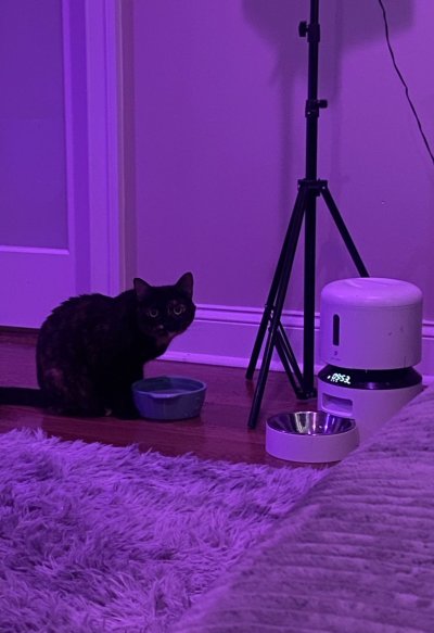 Watch big honkin caboose's leaked NSFW photo on TwXstars