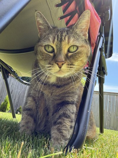 Watch Brittany Elizabeth Welsh's leaked NSFW photo on TwXstars