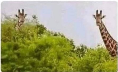 Watch 𝕄𝕚𝕣𝕏✨'s leaked NSFW photo on TwXstars