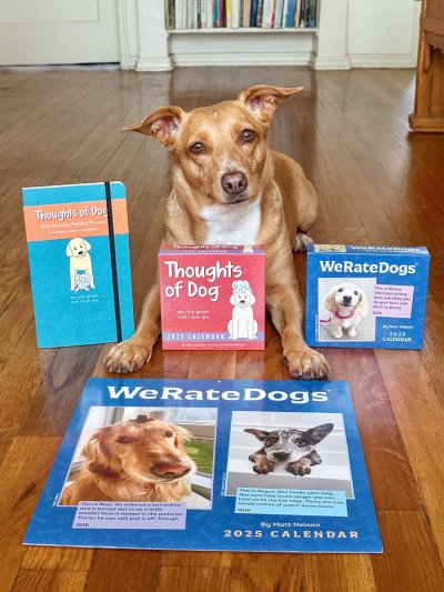 Watch WeRateDogs's leaked NSFW photo on TwXstars