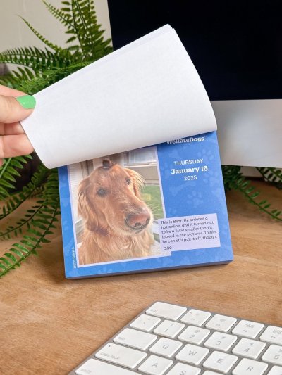 Watch WeRateDogs's leaked NSFW photo on TwXstars