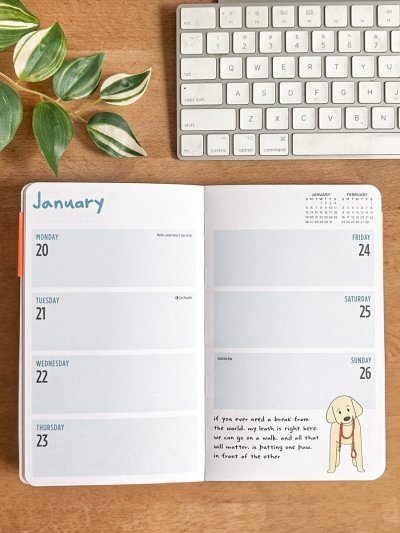 Watch WeRateDogs's leaked NSFW photo on TwXstars