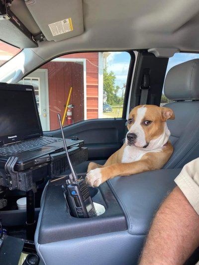 Watch WeRateDogs's leaked NSFW photo on TwXstars