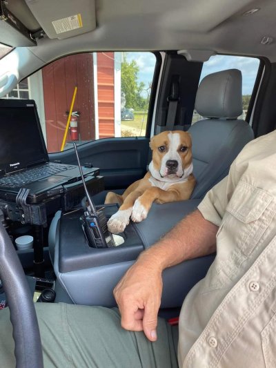 Watch WeRateDogs's leaked NSFW photo on TwXstars