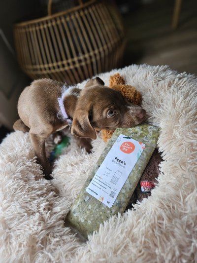 Watch WeRateDogs's leaked NSFW photo on TwXstars