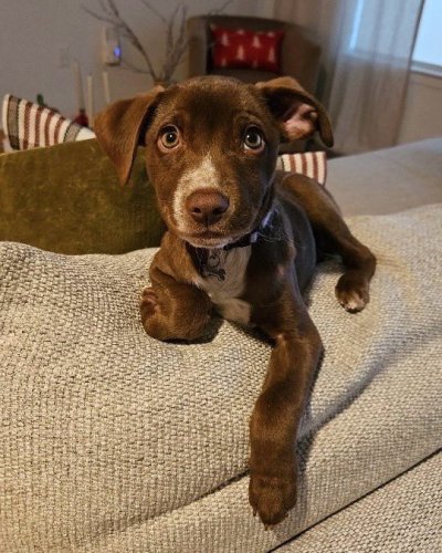 Watch WeRateDogs's leaked NSFW photo on TwXstars