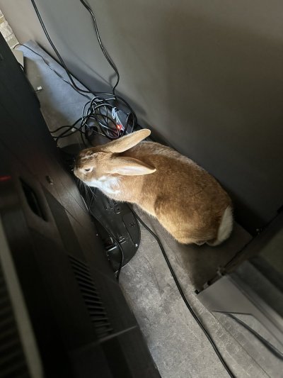 Watch Ruby's leaked NSFW photo on TwXstars