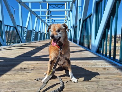 Watch WeRateDogs's leaked NSFW photo on TwXstars