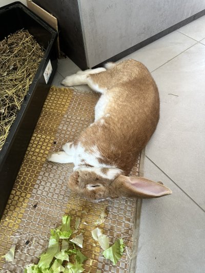 Watch Ruby's leaked NSFW photo on TwXstars