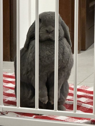 Watch Ruby's leaked NSFW photo on TwXstars