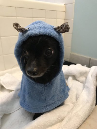 Watch Max Carter's leaked NSFW photo on TwXstars