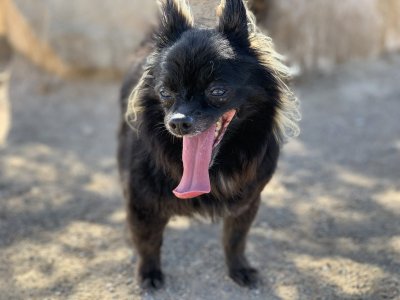 Watch Max Carter's leaked NSFW photo on TwXstars