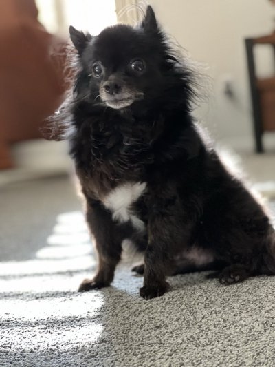 Watch Max Carter's leaked NSFW photo on TwXstars