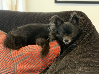 Watch Max Carter's leaked NSFW photo on TwXstars