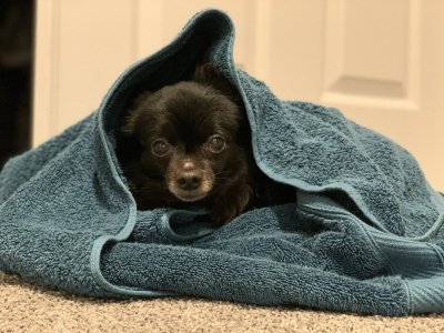 Watch Max Carter's leaked NSFW photo on TwXstars