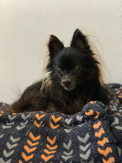 Watch Max Carter's leaked NSFW photo on TwXstars