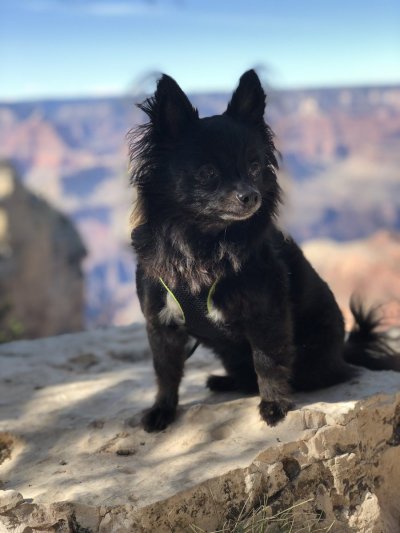 Watch Max Carter's leaked NSFW photo on TwXstars