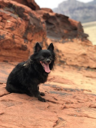 Watch Max Carter's leaked NSFW photo on TwXstars