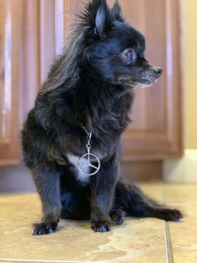 Watch Max Carter's leaked NSFW photo on TwXstars