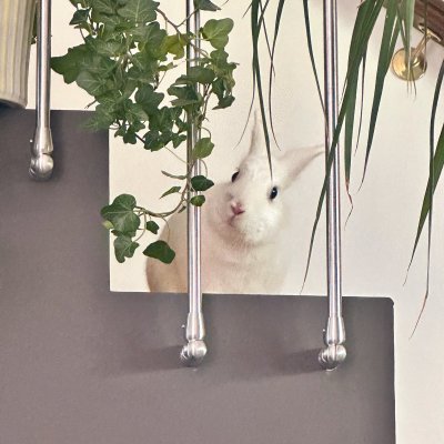 Watch Ruby's leaked NSFW photo on TwXstars