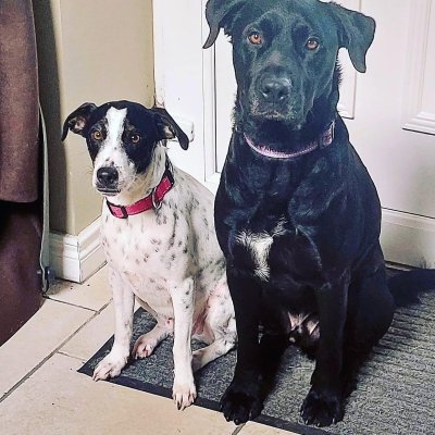 Watch beauty Princess's leaked NSFW photo on TwXstars