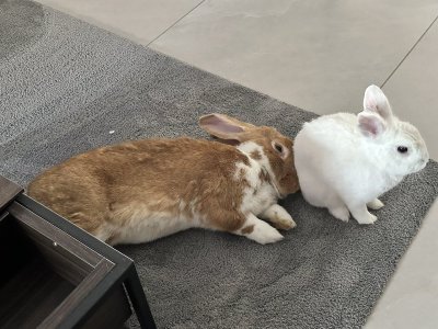 Watch Ruby's leaked NSFW photo on TwXstars