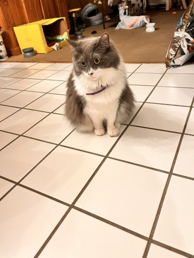 Watch Luna Bright🎈's leaked NSFW photo on TwXstars