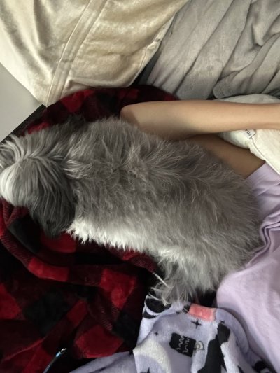 Watch Jamie Forever X's leaked NSFW photo on TwXstars