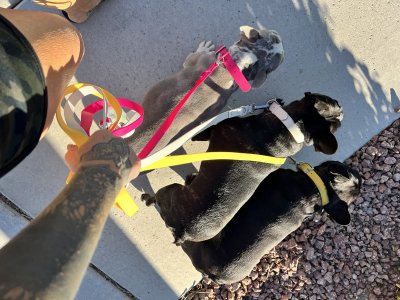 Watch Shay Fox's leaked NSFW photo on TwXstars