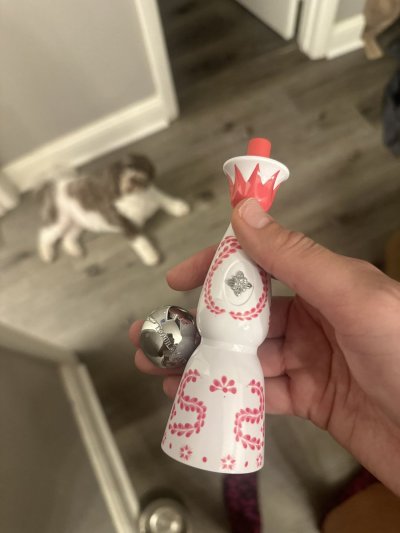 Watch cornbread Bitch's leaked NSFW photo on TwXstars