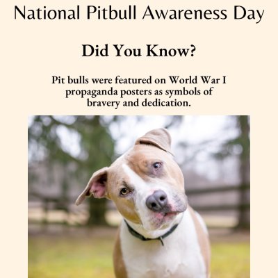 Watch Ava Addams's leaked NSFW photo on TwXstars