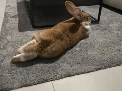 Watch Ruby's leaked NSFW photo on TwXstars