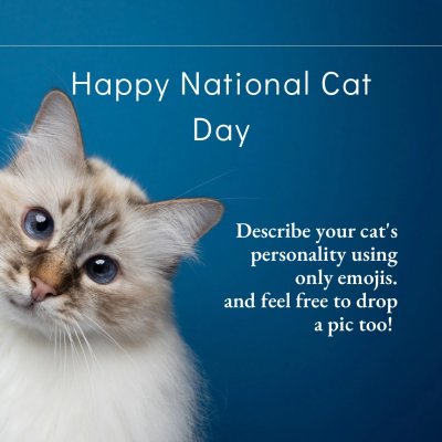 Watch Ava Addams's leaked NSFW photo on TwXstars