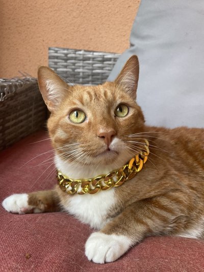 Watch blaid's leaked NSFW photo on TwXstars