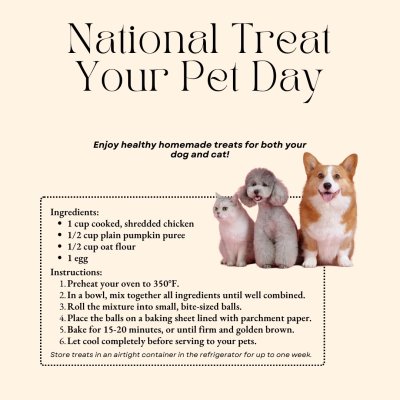 Watch Ava Addams's leaked NSFW photo on TwXstars