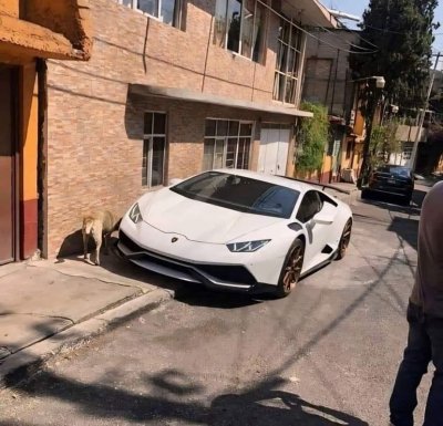 Watch Borrachos V.I.P's leaked NSFW photo on TwXstars