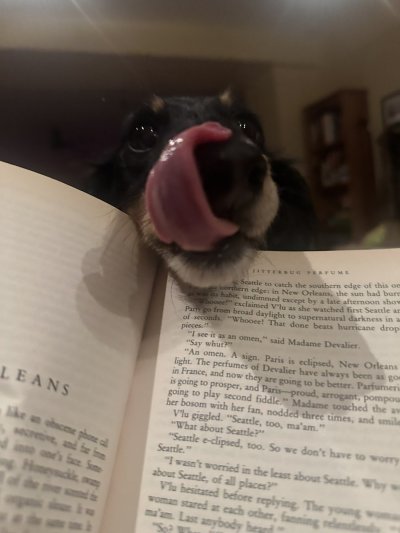 Watch Haley Reed✨$6 onlyfans✨'s leaked NSFW photo on TwXstars